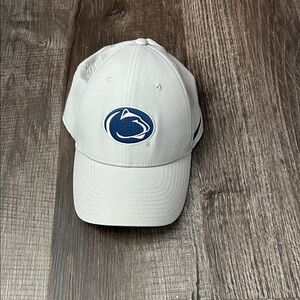 Nike Light Gray Cap with Navy Logo